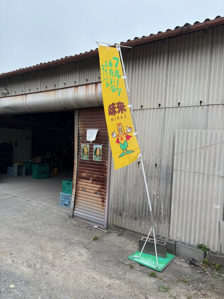 農業実習　Day８