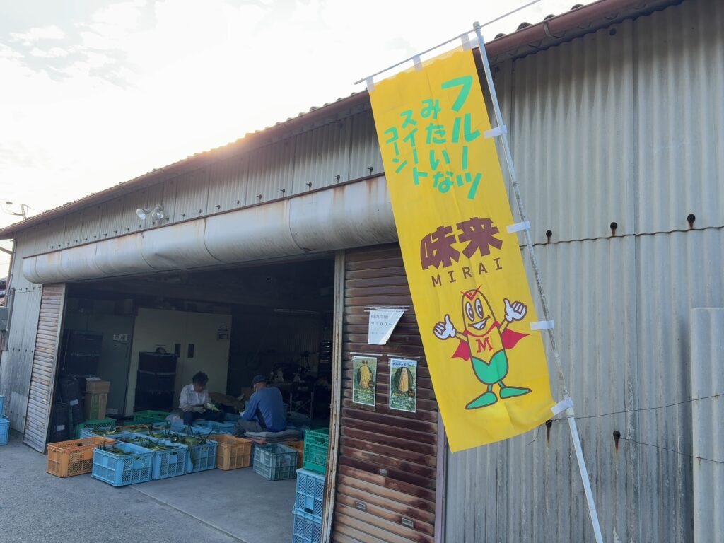 農業実習　Day９