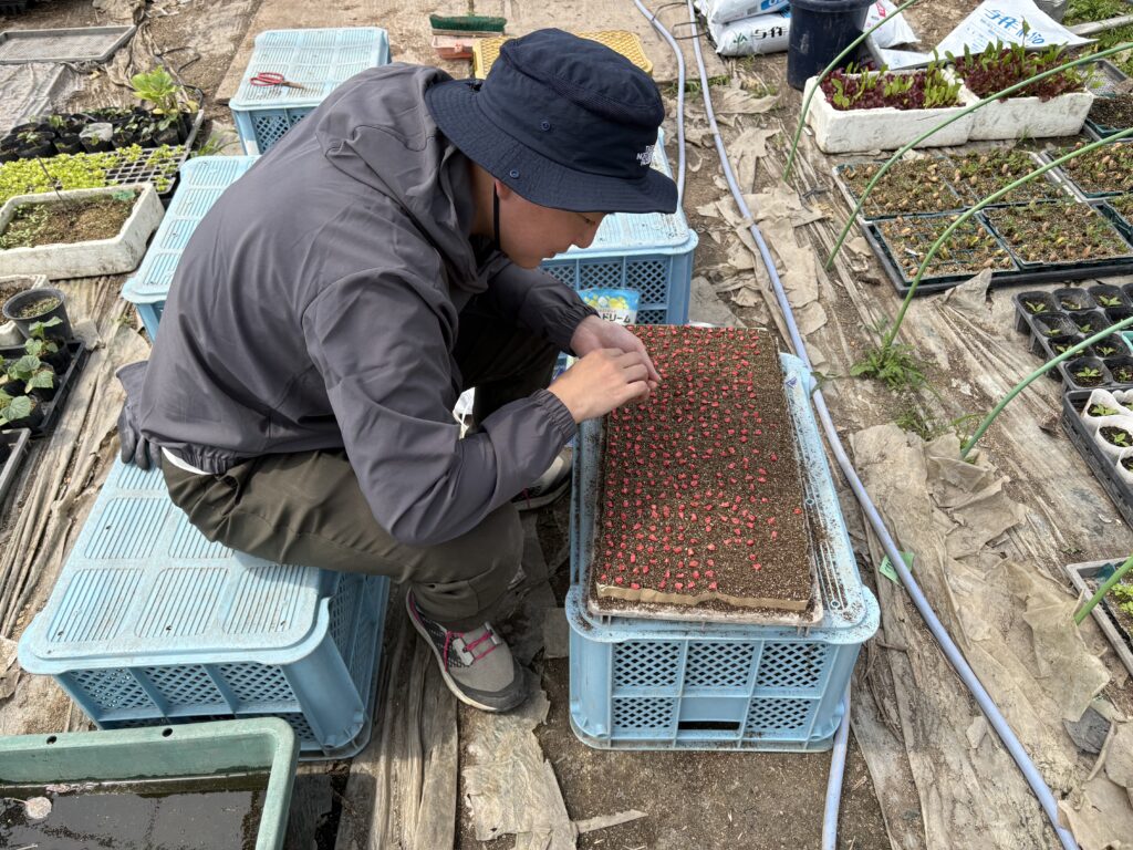 まずは　歯科×農業