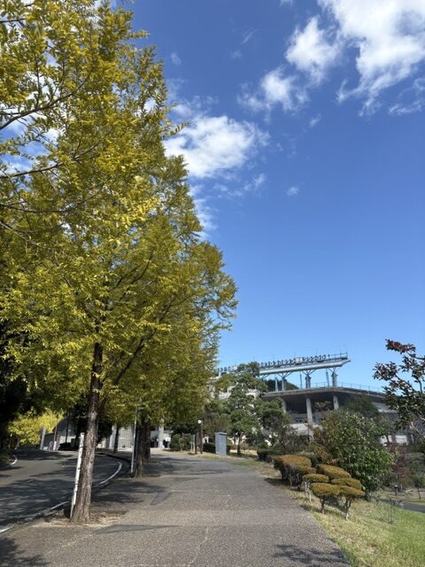 院内清掃・長VS長対決に向けての準備へ